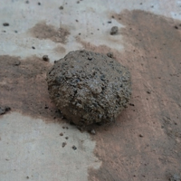 drop test 1